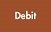 Debit Logo